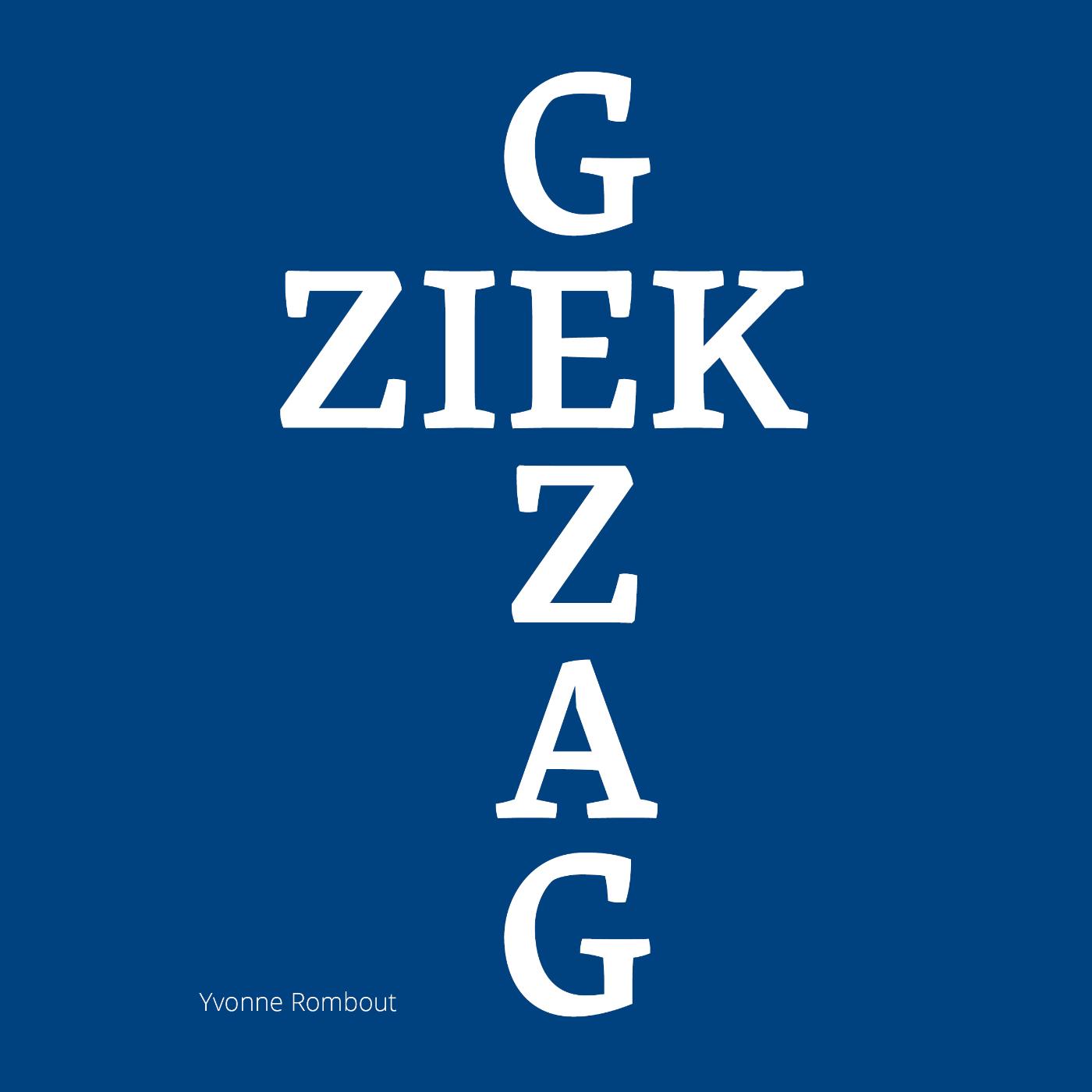 Omslag van Ziek gezag