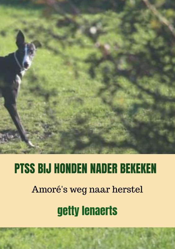 Omslag van PTSS BIJ HONDEN NADER BEKEKEN