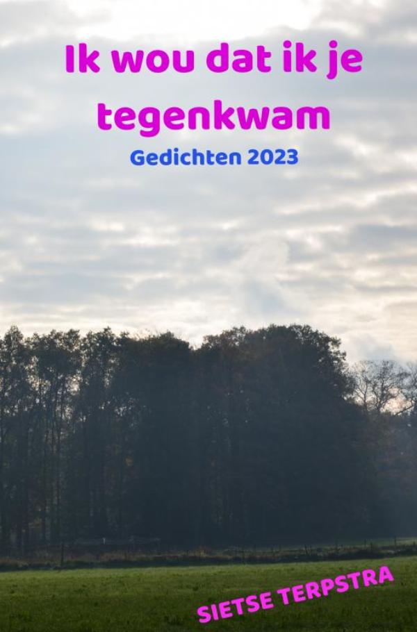 Omslag van Ik wou dat ik je tegenkwam