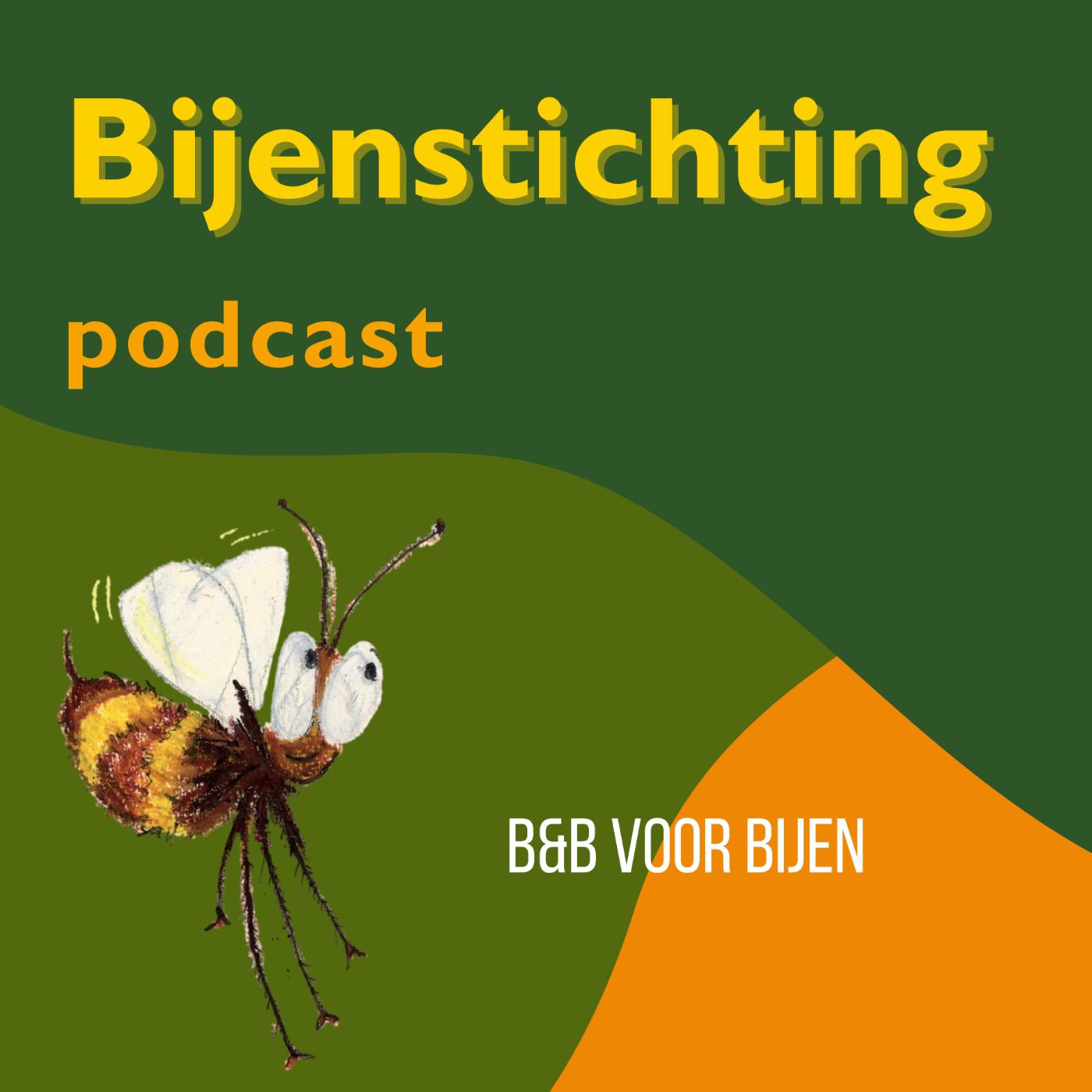 Omslag van B&B voor bijen