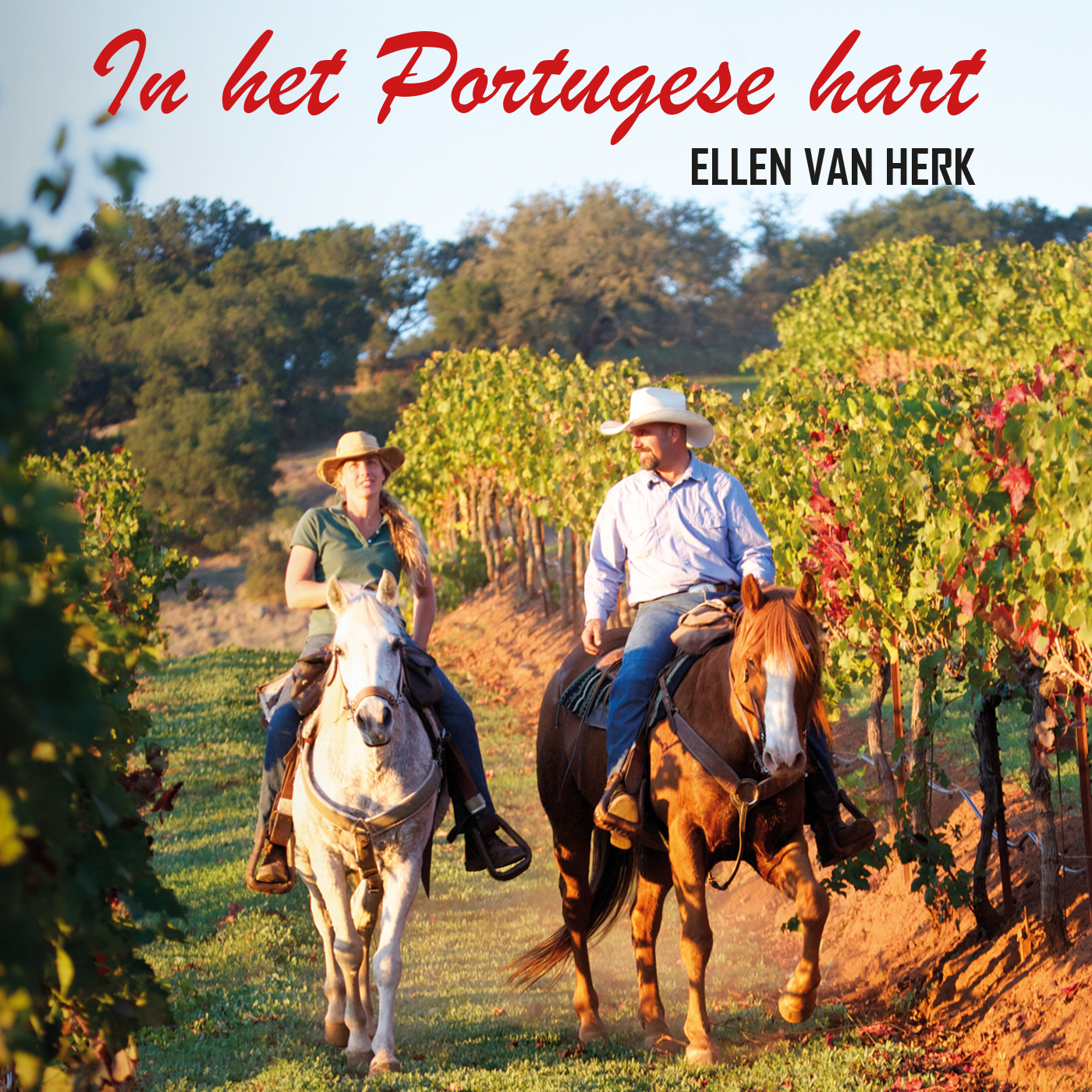 Omslag van In het Portugese hart