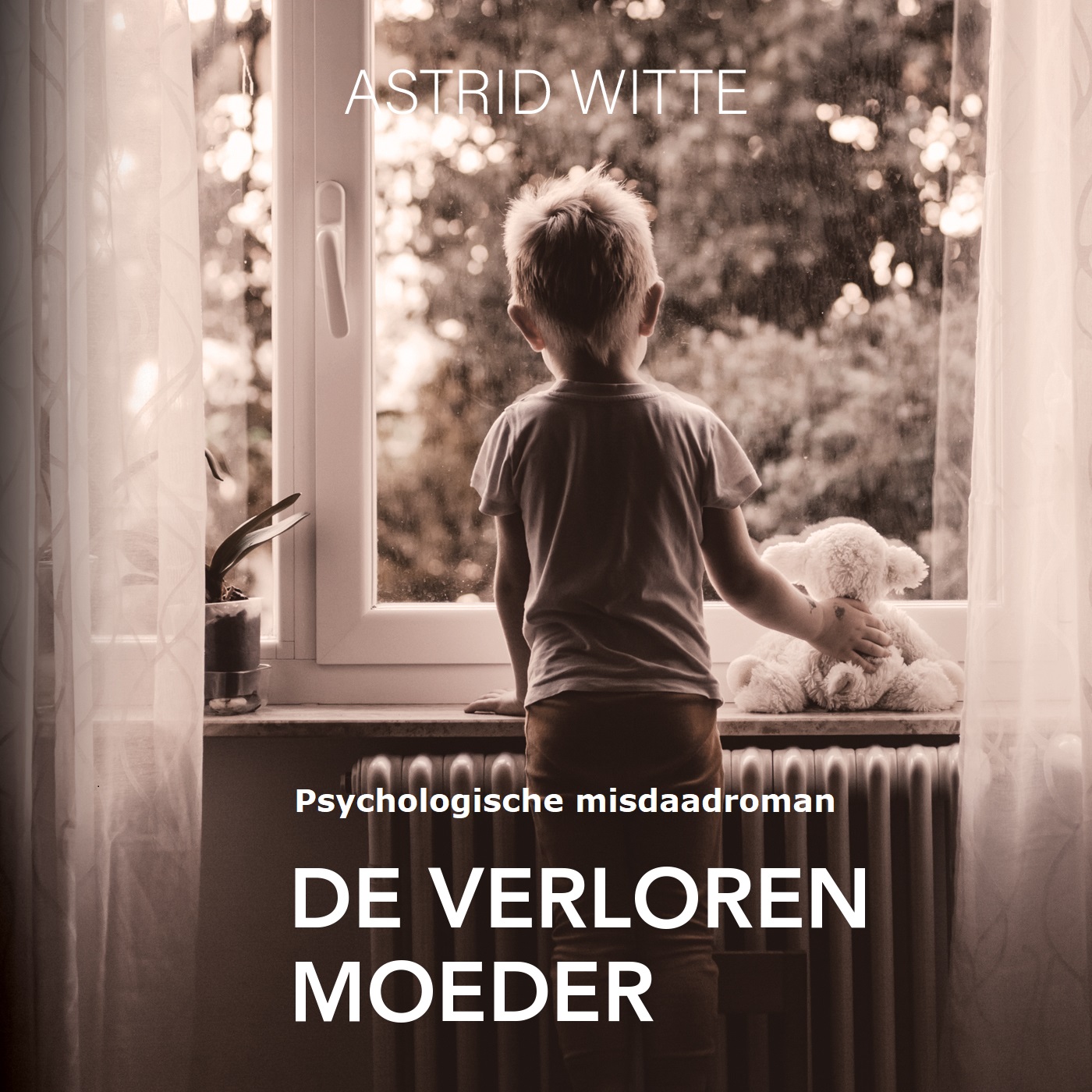 Omslag van De verloren moeder