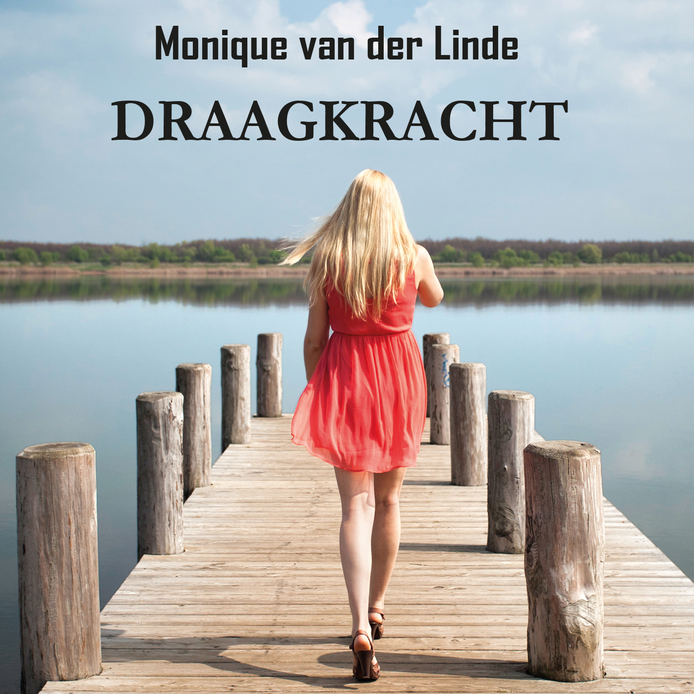 Omslag van Draagkracht