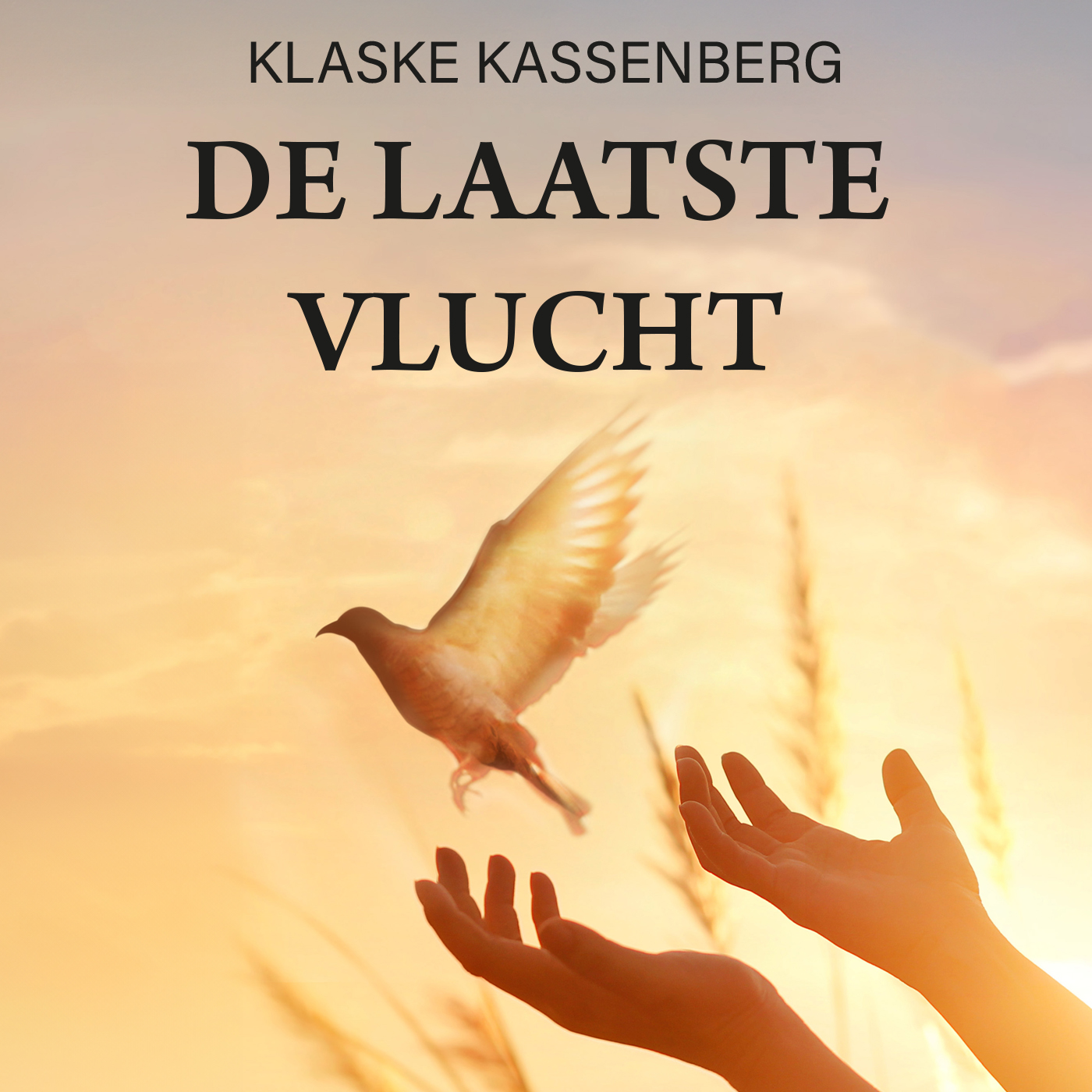 Omslag van De laatste vlucht