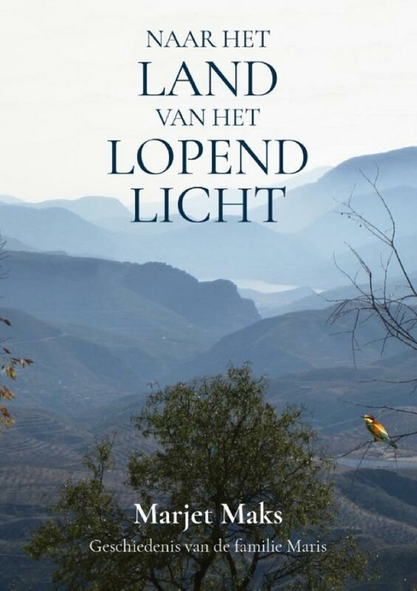 Omslag van Naar het land van het lopend licht