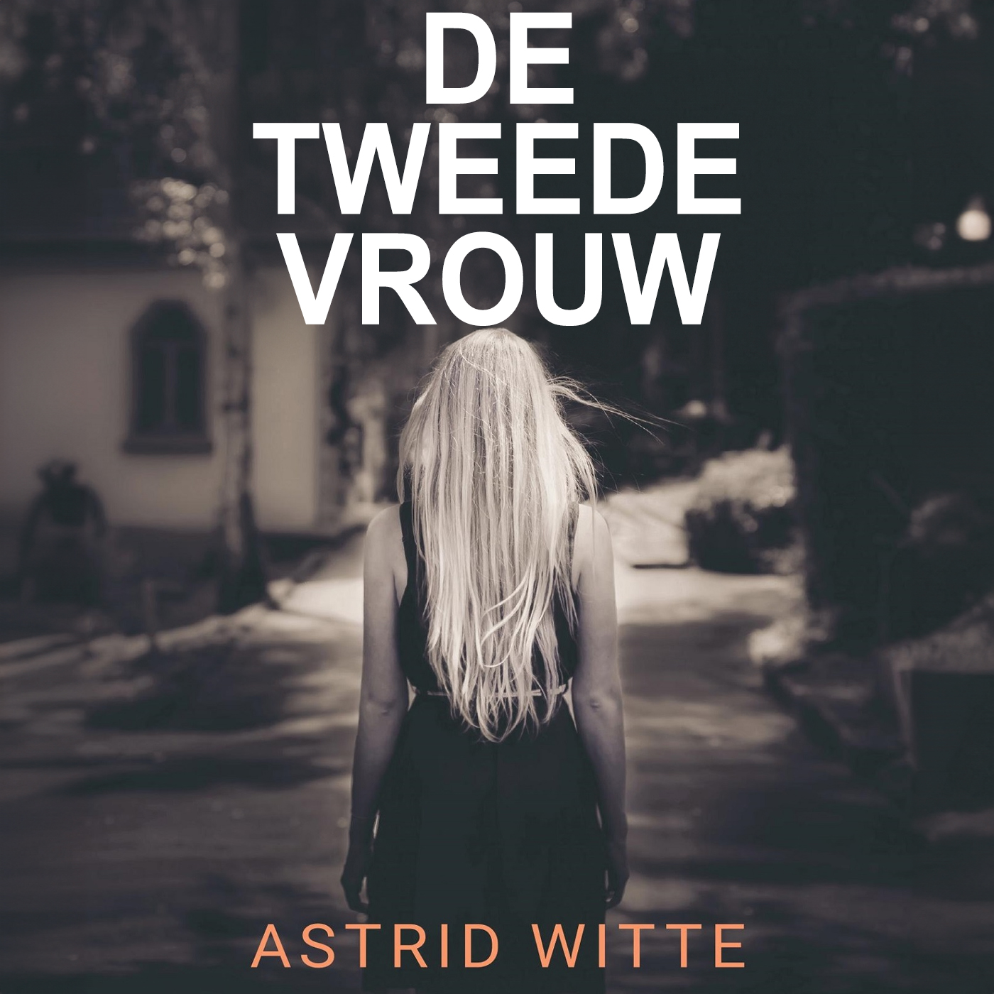 Omslag van De tweede vrouw