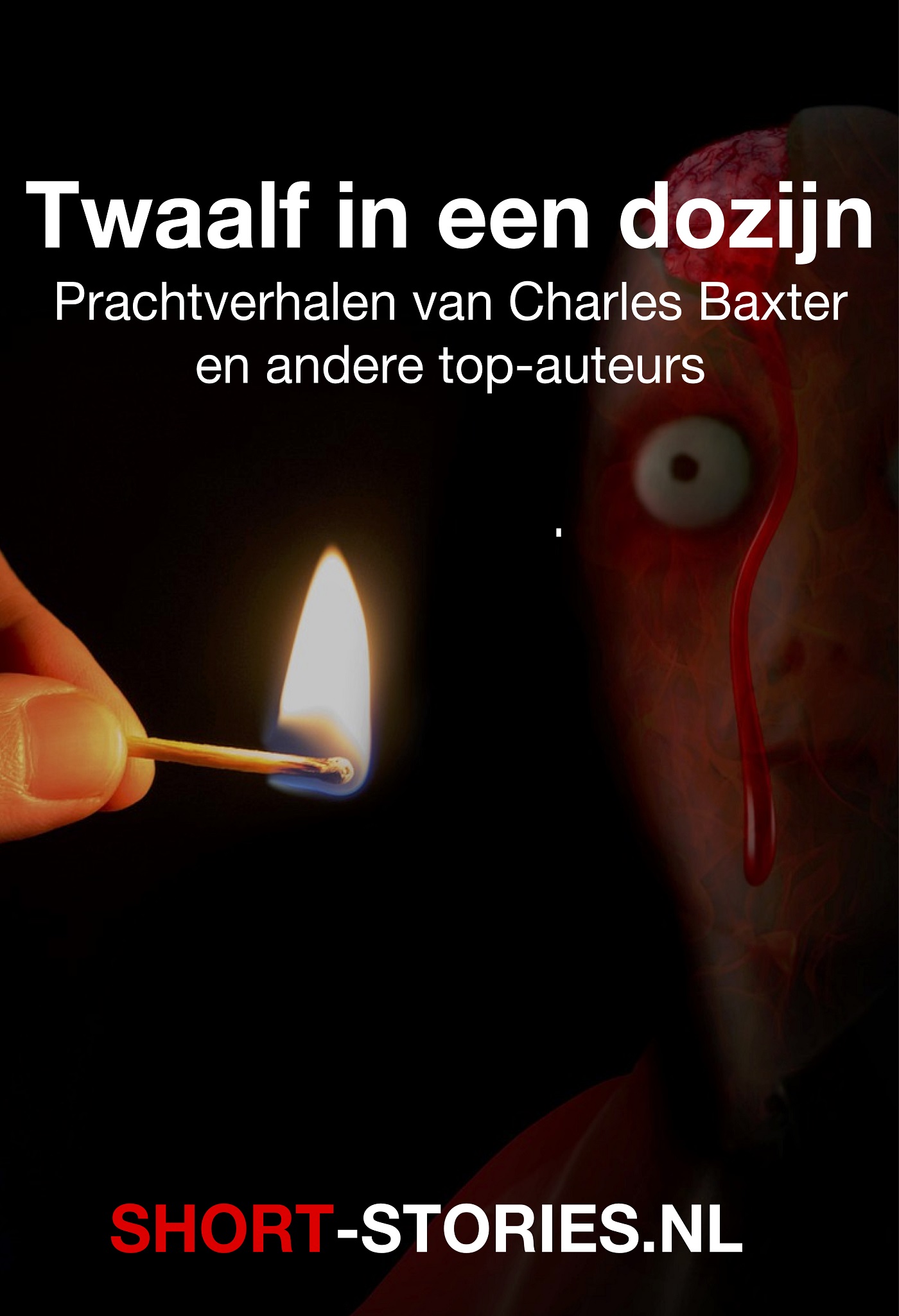 Omslag van Twaalf in een dozijn