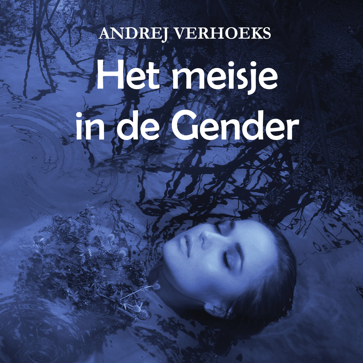 Omslag van Het meisje in de Gender