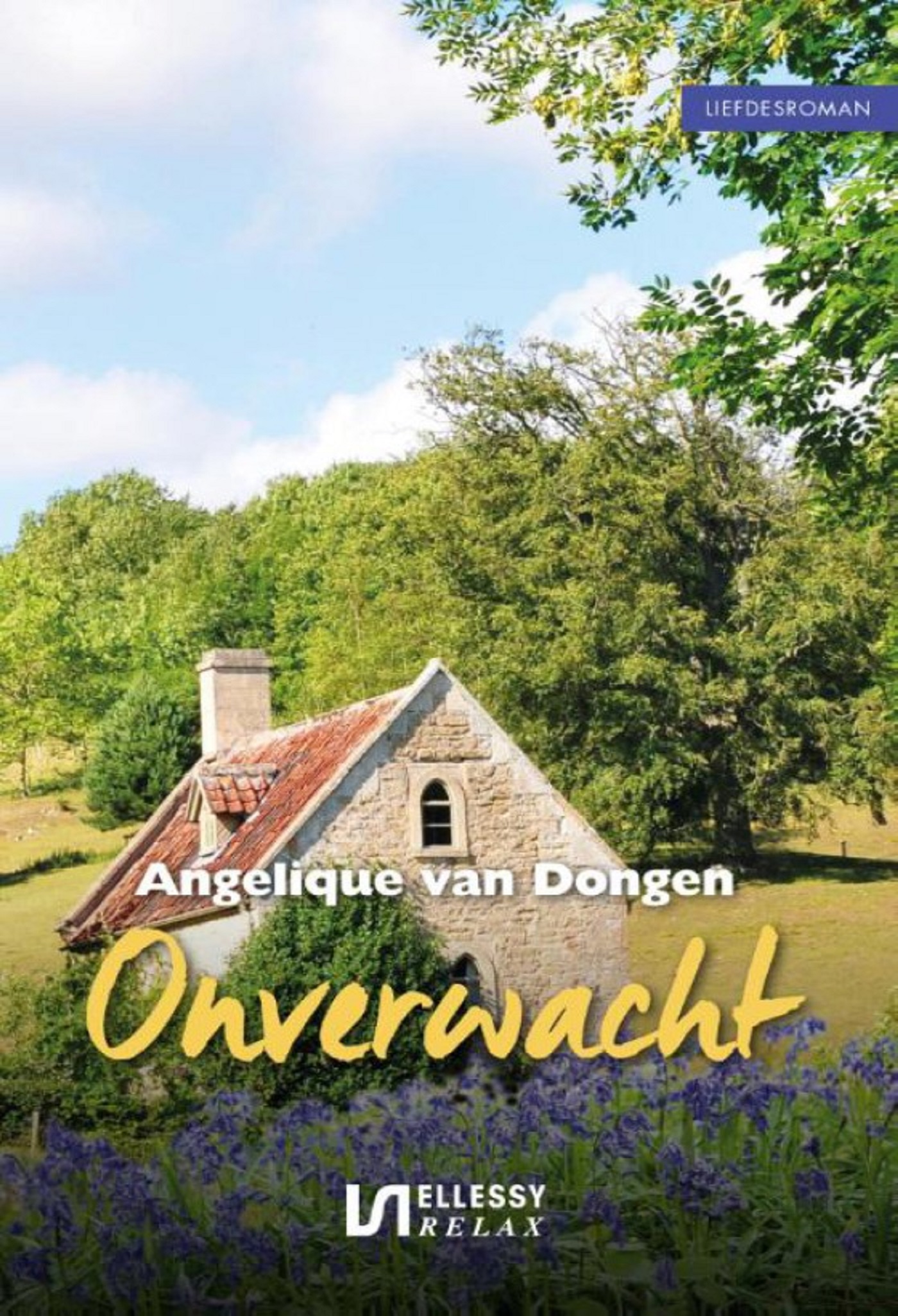 Omslag van Onverwacht