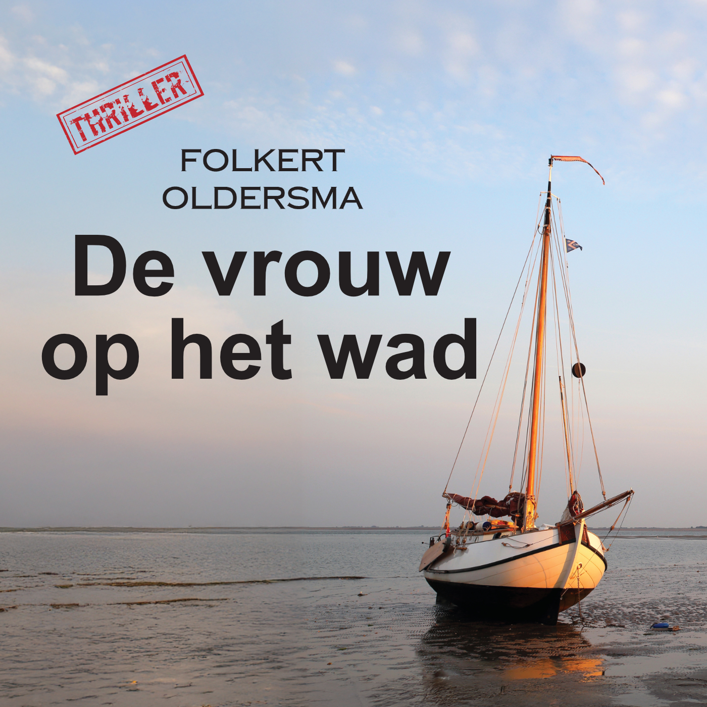 Omslag van De vrouw op het wad