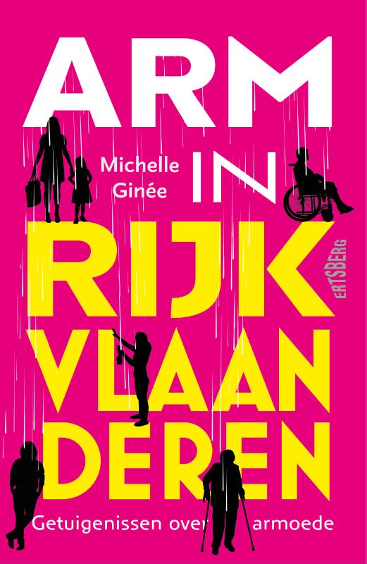 Omslag van Arm in rijk Vlaanderen
