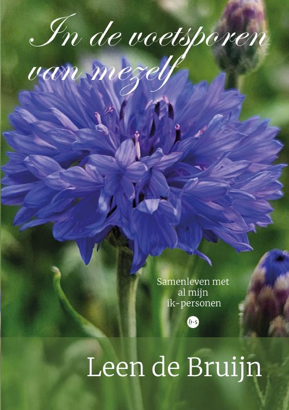 Omslag van In de voetsporen van mezelf