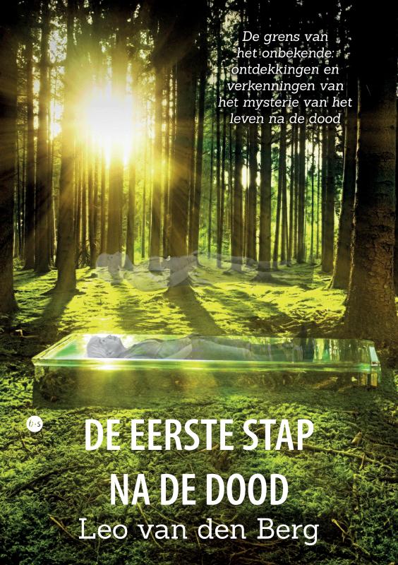 Omslag van De eerste stap na de dood