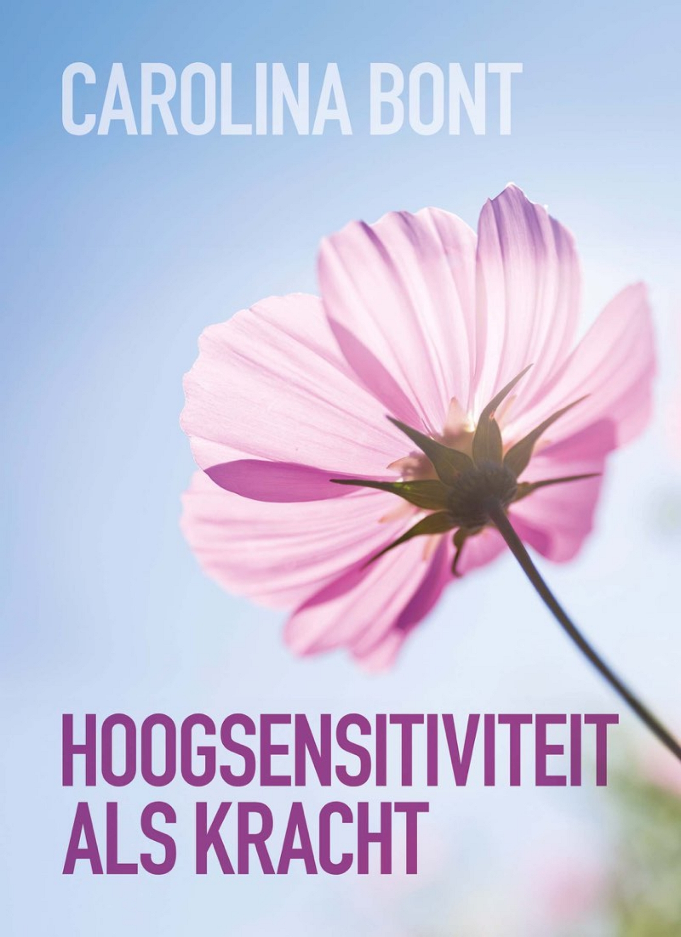 Omslag van Hoogsensitiviteit als kracht