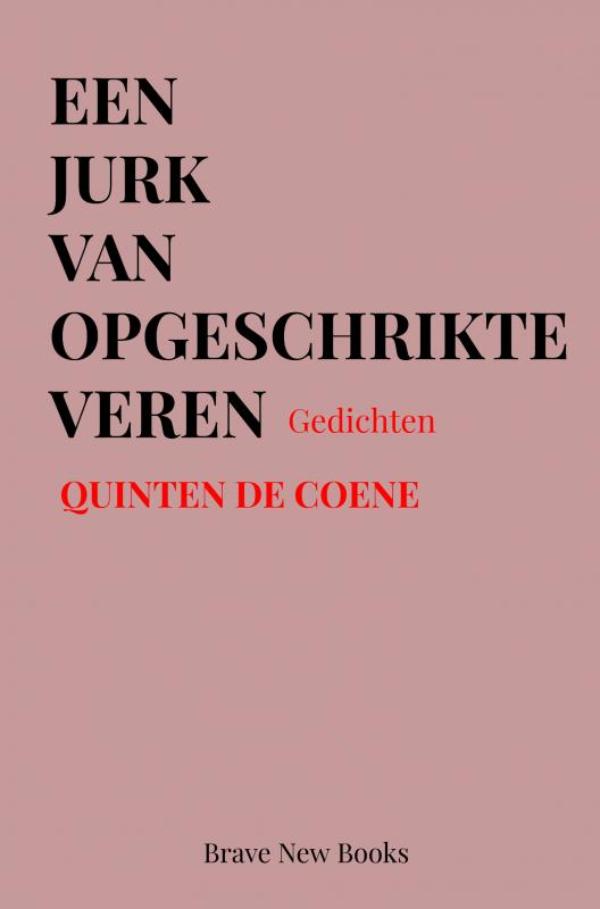 Omslag van Een jurk van opgeschrikte veren