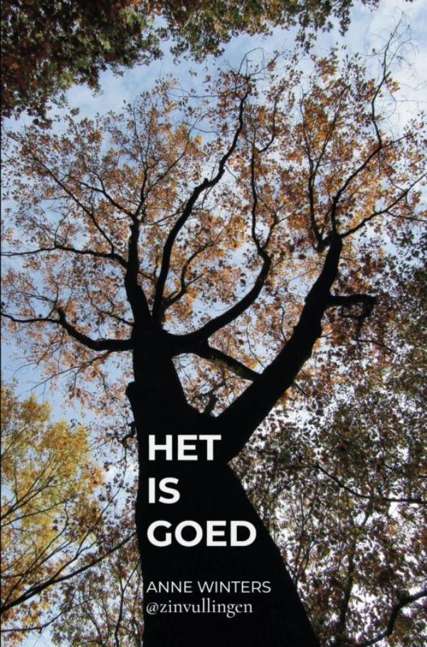 Omslag van Het is goed