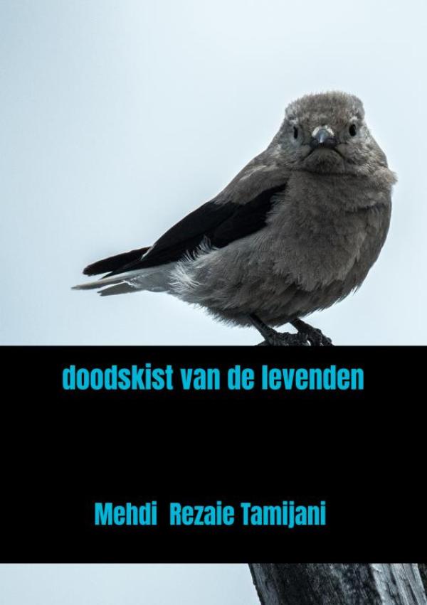 Omslag van doodskist van de levenden