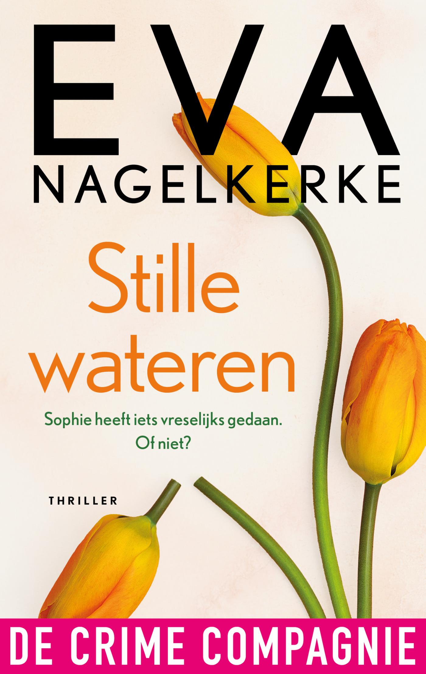 Omslag van Stille wateren