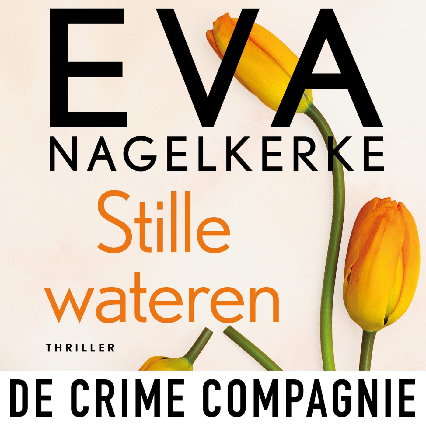 Omslag van Stille wateren
