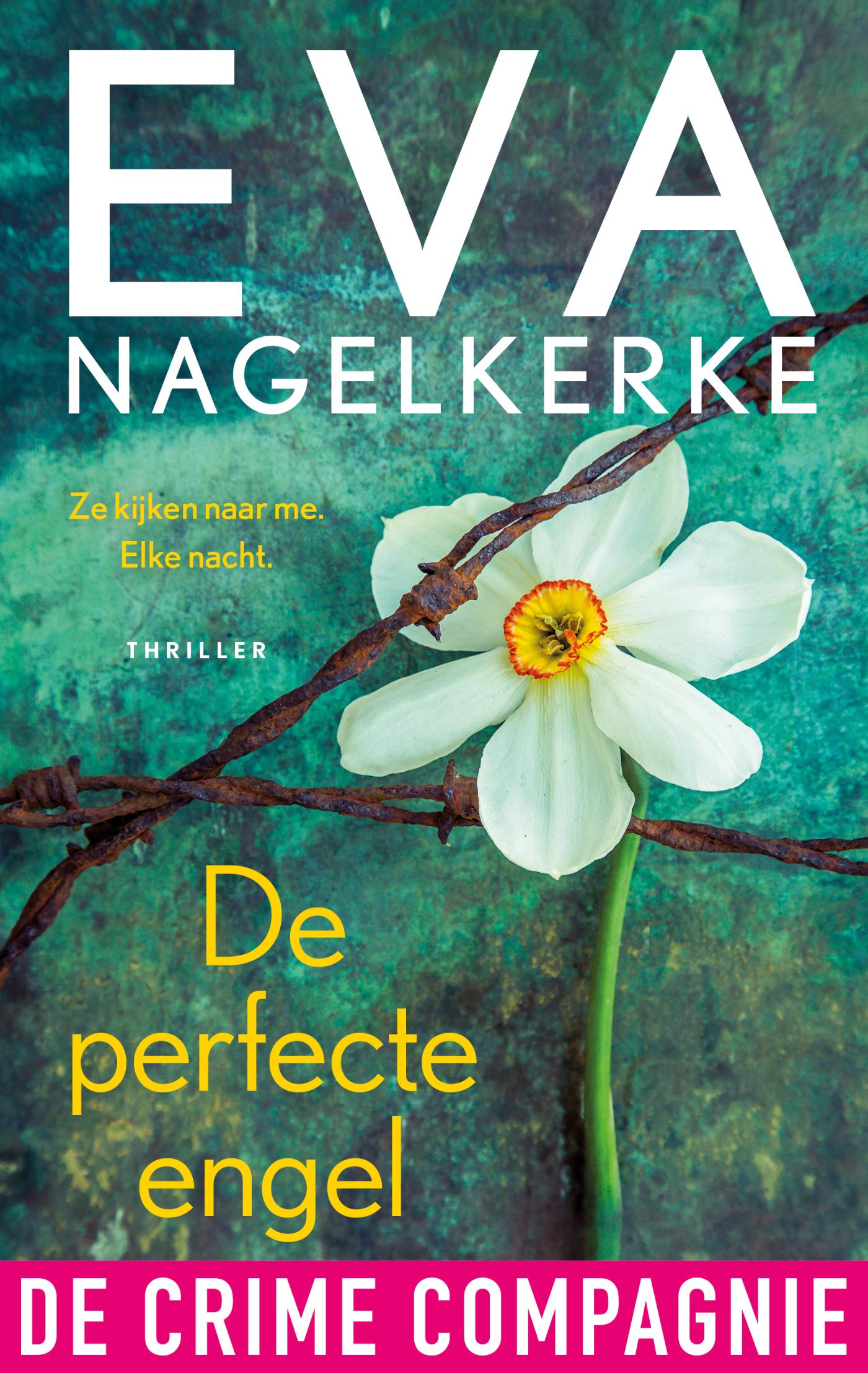 Omslag van De perfecte engel