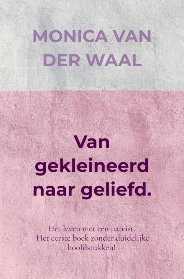 Omslag van Van gekleineerd naar geliefd.
