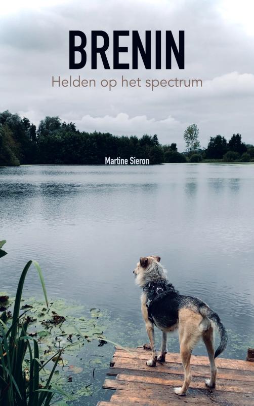 Omslag van Brenin