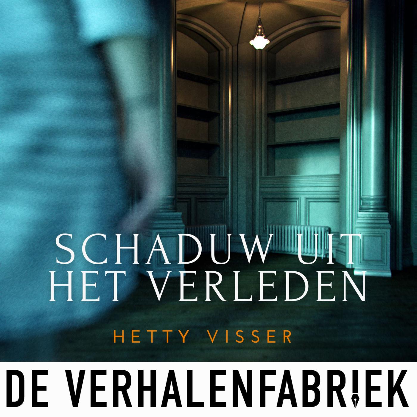 Omslag van Schaduw uit het verleden