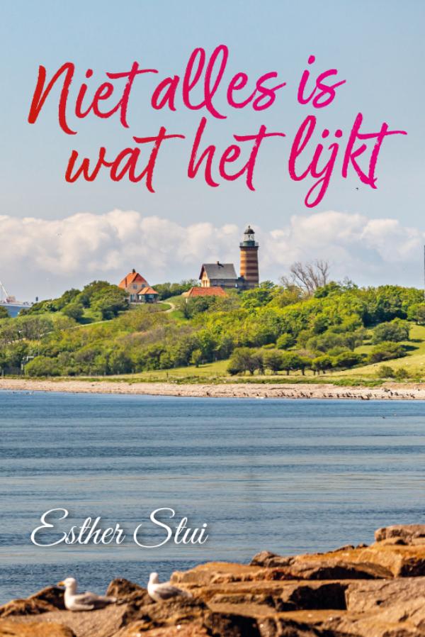 Omslag van Niet alles is wat het lijkt