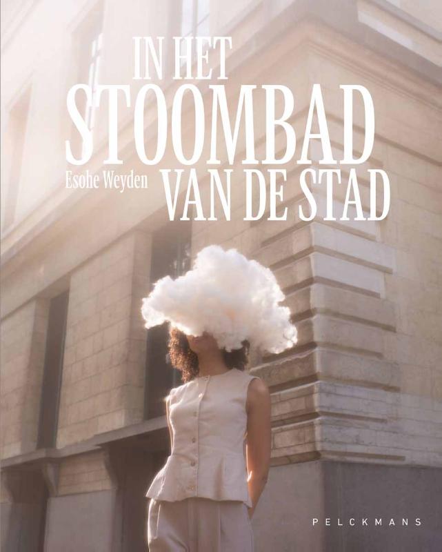 Omslag van In het stoombad van de stad