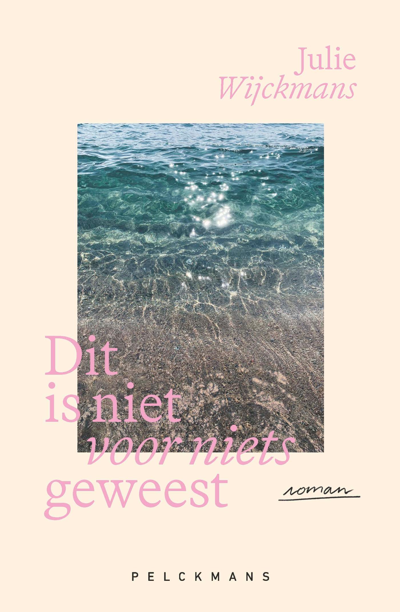 Omslag van Dit is niet voor niets geweest