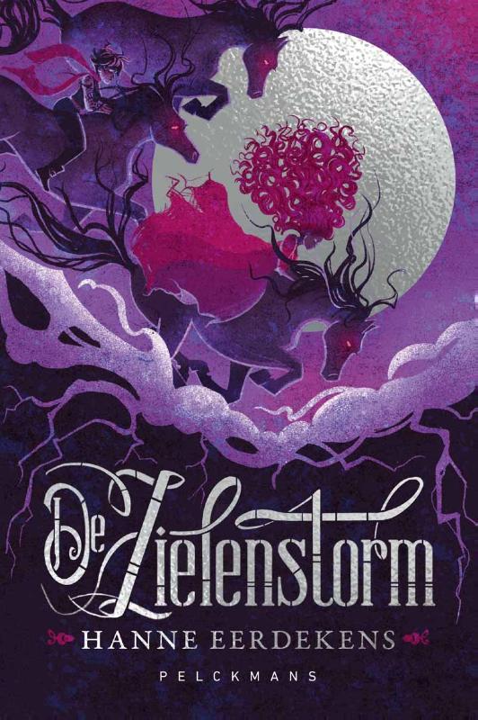 Omslag van De zielenstorm