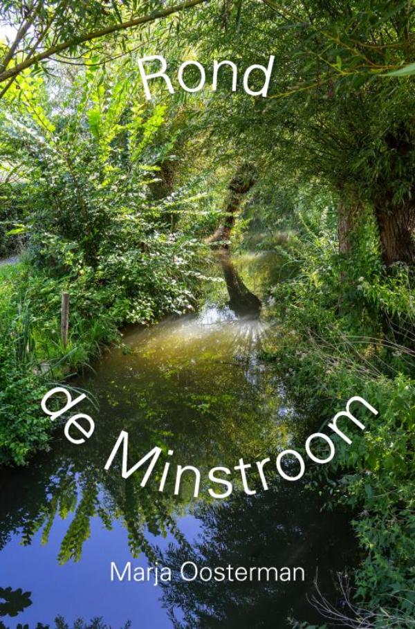 Omslag van Rond de Minstroom