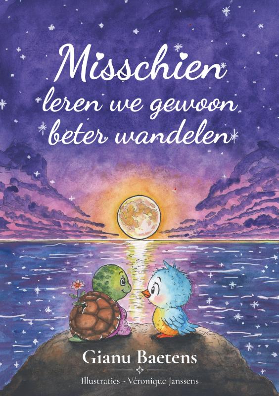 Omslag van Misschien leren we gewoon beter wandelen