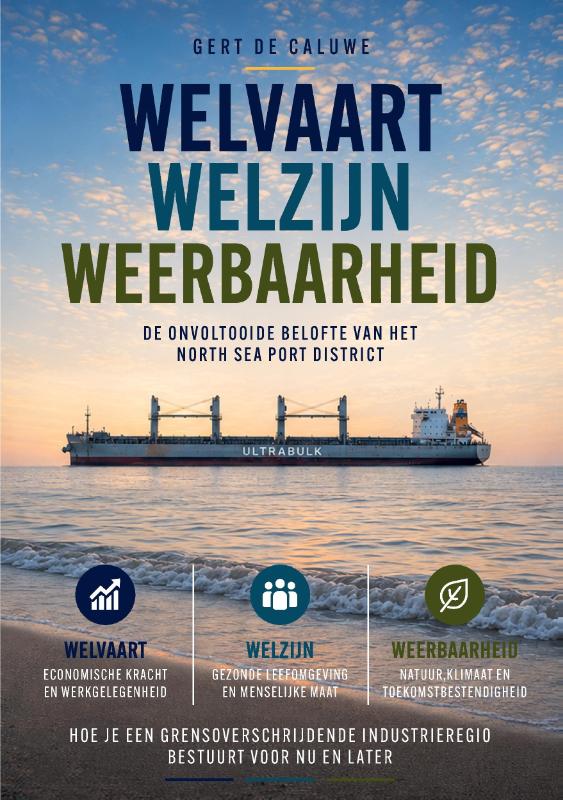 Omslag van Welvaart, welzijn, weerbaarheid