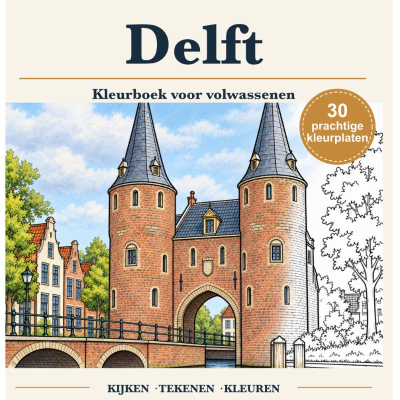 Omslag van Delft