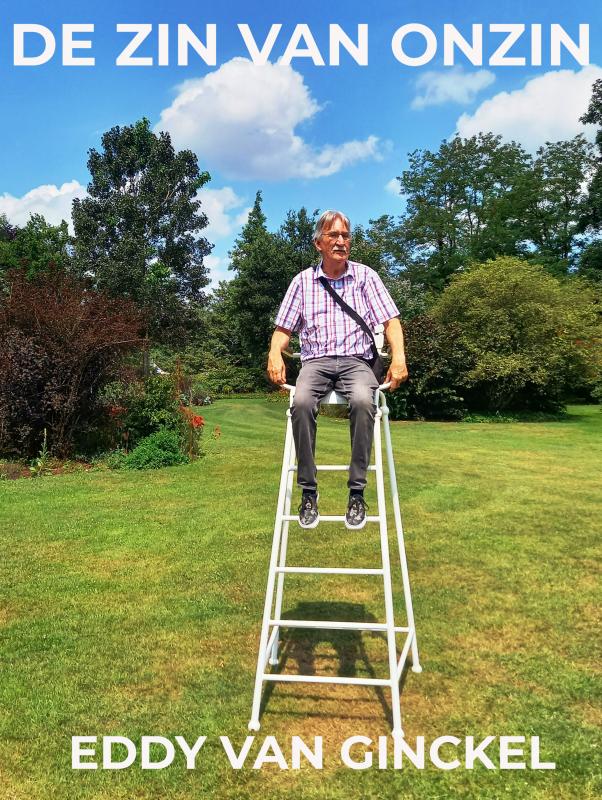Omslag van DE ZIN VAN ONZIN