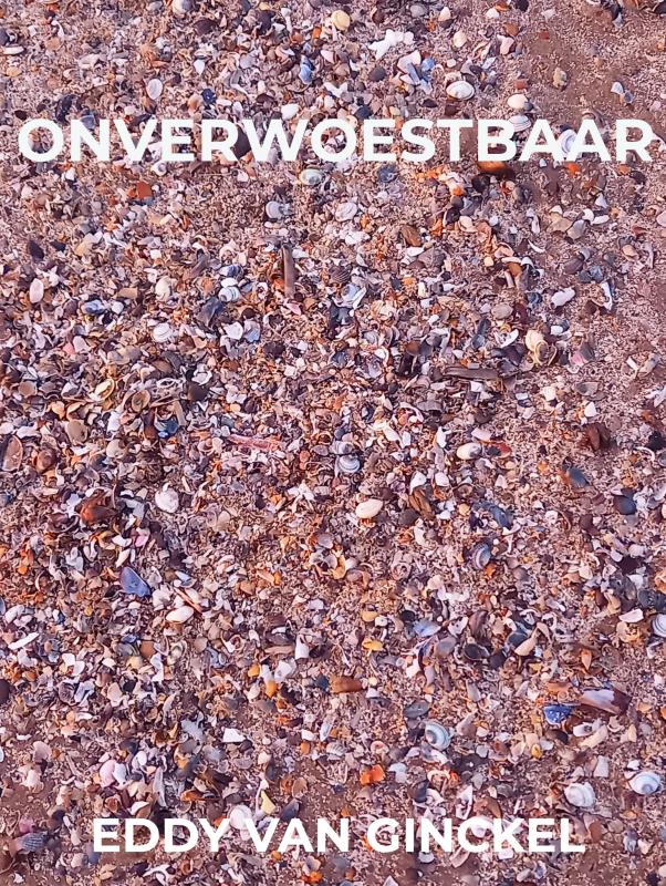 Omslag van ONVERWOESTBAAR