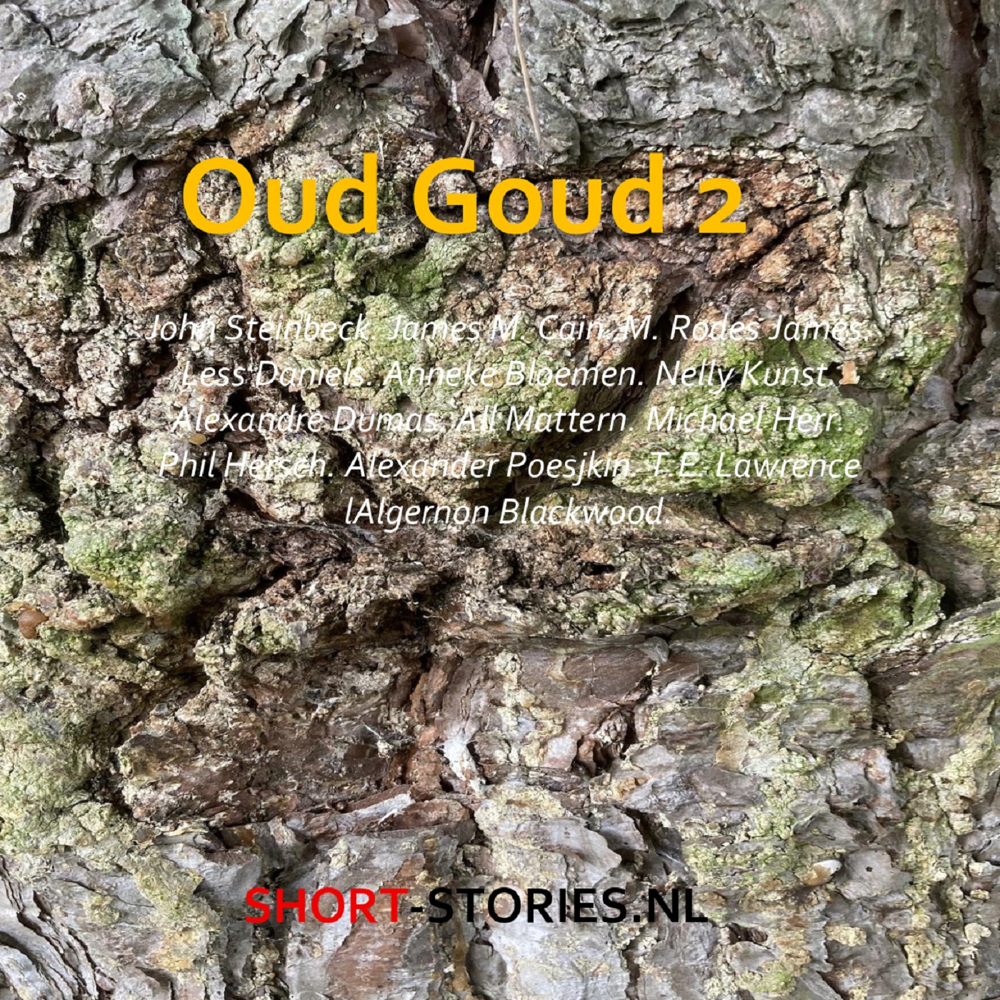 Omslag van Oud goud 2