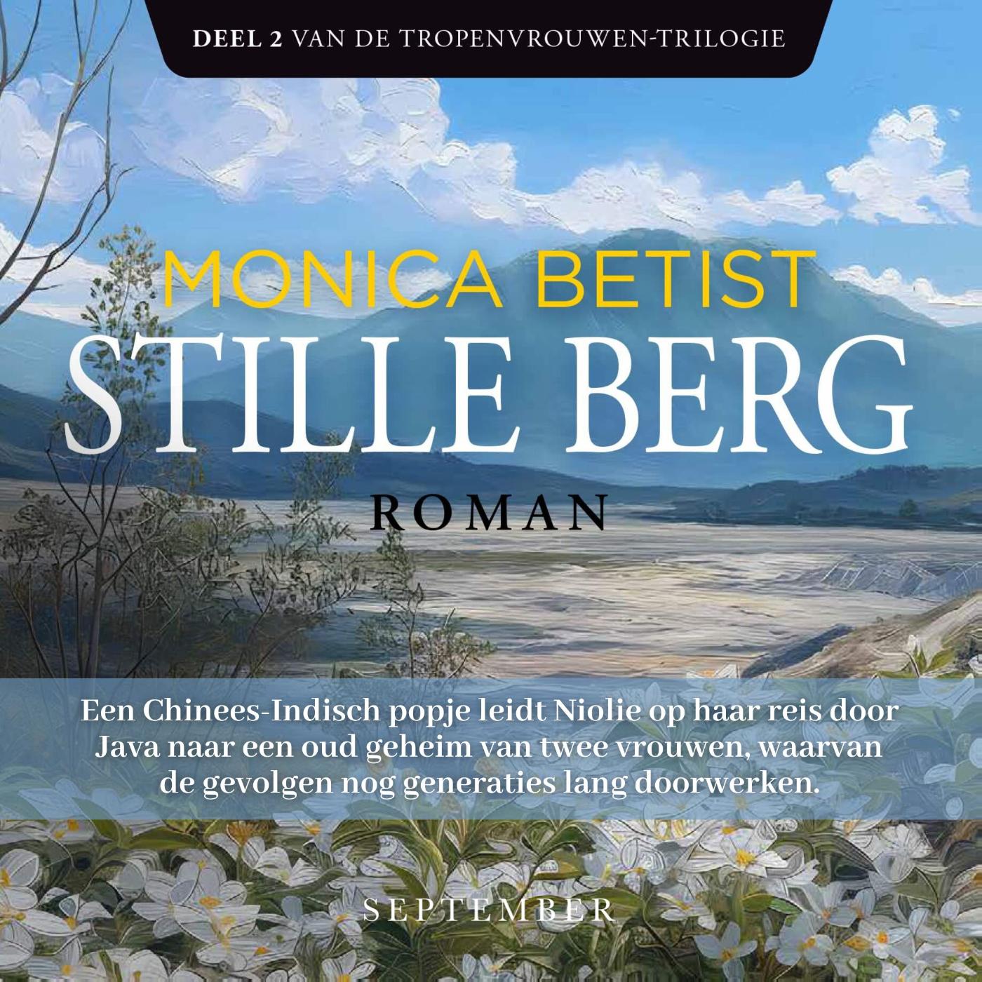 Omslag van Stille berg