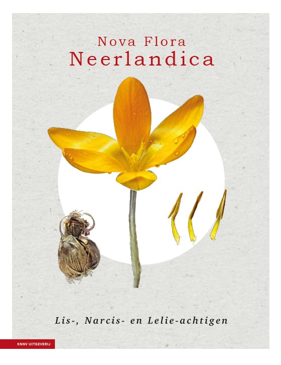 Omslag van Nova Flora Neerlandica deel 3 - Lis-, Narcis- en Lelieachtigen
