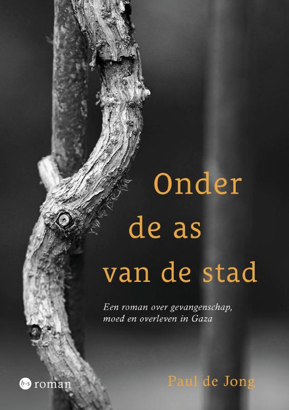 Omslag van Onder de as van de stad