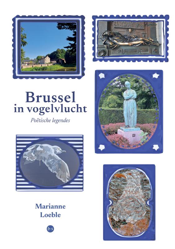 Omslag van Brussel in vogelvlucht