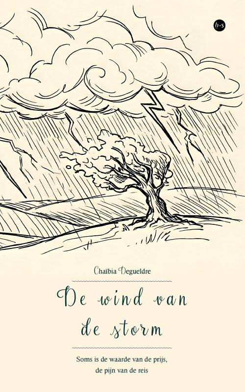 Omslag van De wind van de storm