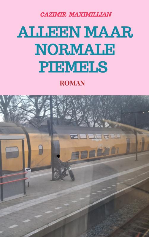 Omslag van Alleen Maar Normale Piemels