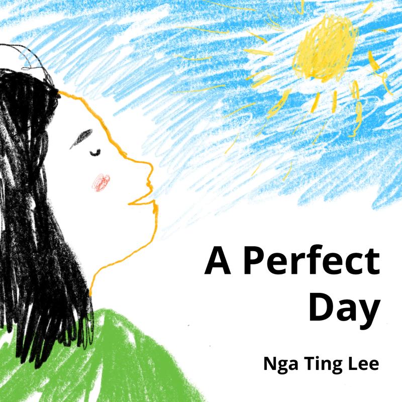 Omslag van A Perfect Day