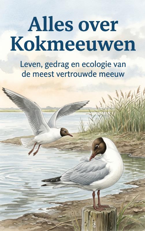 Omslag van Alles over Kokmeeuwen