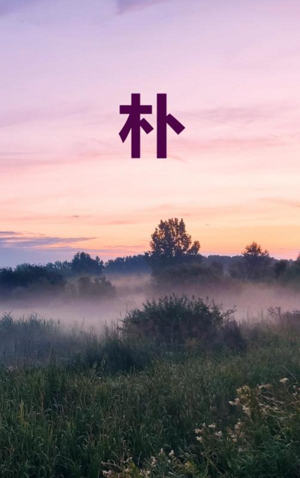 Omslag van Eenvoud