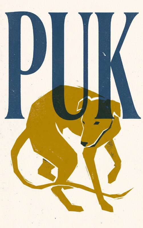 Omslag van Puk