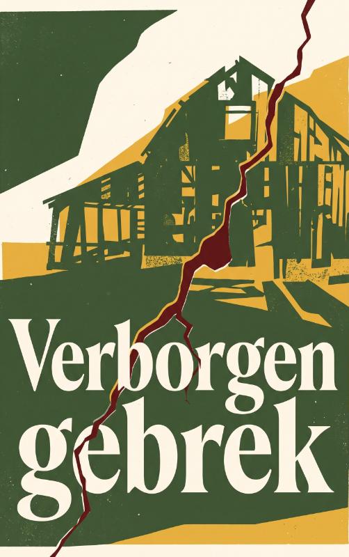 Omslag van Verborgen gebrek