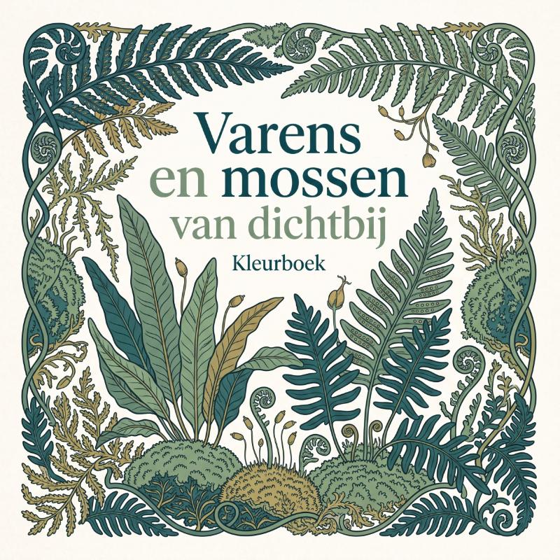 Omslag van Varens en mossen van dichtbij